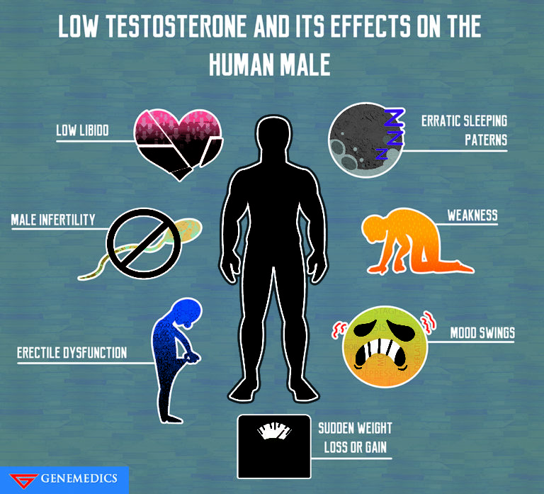 Low Testosterone And Its Effects On The Human Male Genemedics 2537