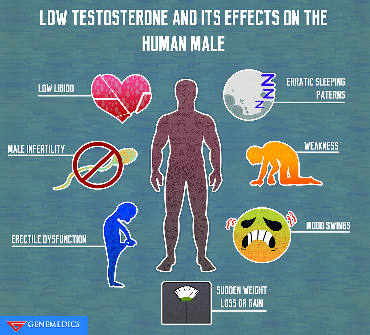 Low Testosterone and Its Effects On The Human Male