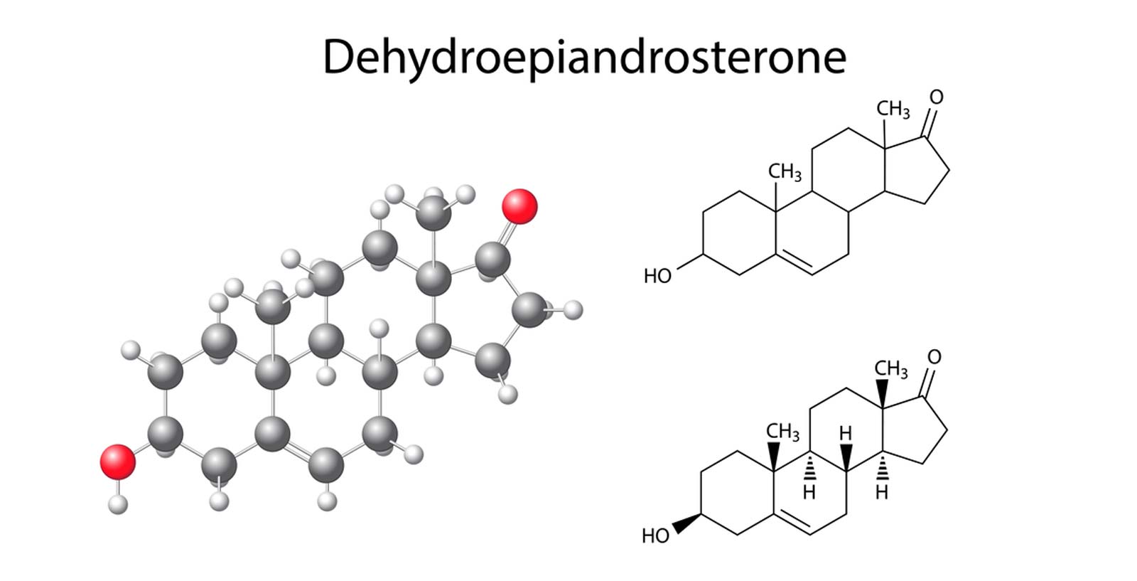 DHEA What It Is, What It Can Do, and How to Get It Genemedics