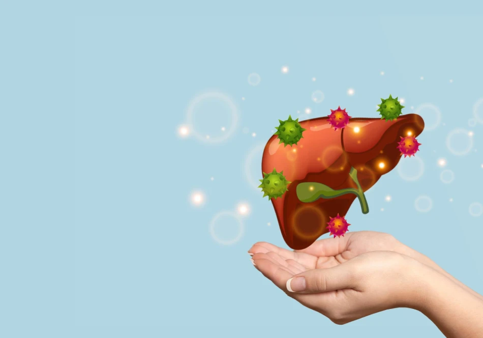 Human liver 3d vector health and medicine