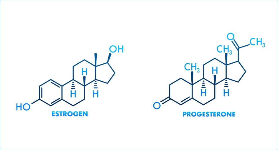 Estrogen And Progesterone In Males Symptoms Of High Estrogen In Men